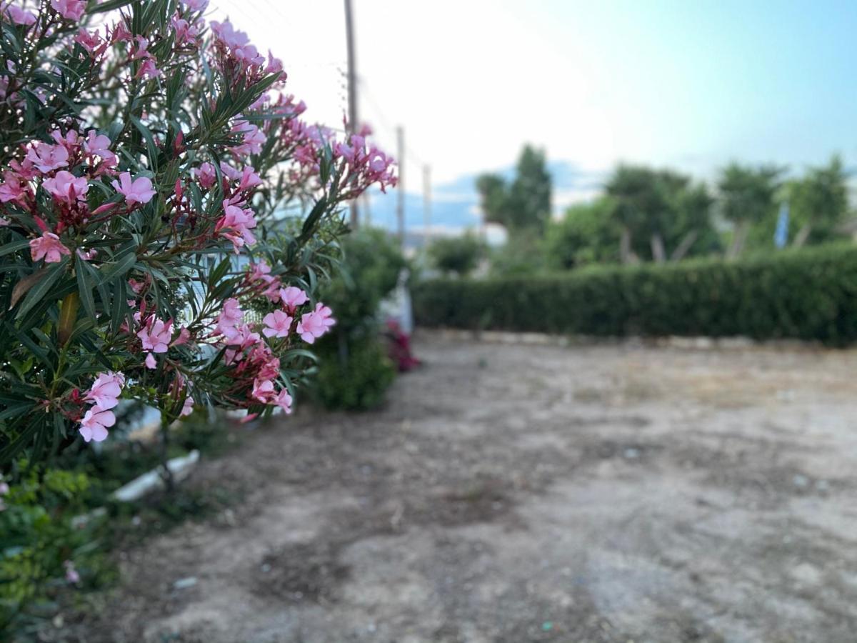 Athens Riviera: 2 Bed / 3' Walk From The Beach Agia Marina  Exterior photo